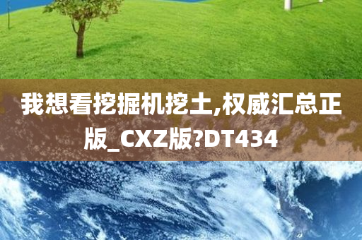 我想看挖掘机挖土,权威汇总正版_CXZ版?DT434