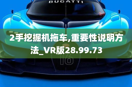 2手挖掘机拖车,重要性说明方法_VR版28.99.73