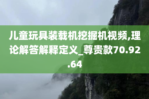 儿童玩具装载机挖掘机视频,理论解答解释定义_尊贵款70.92.64