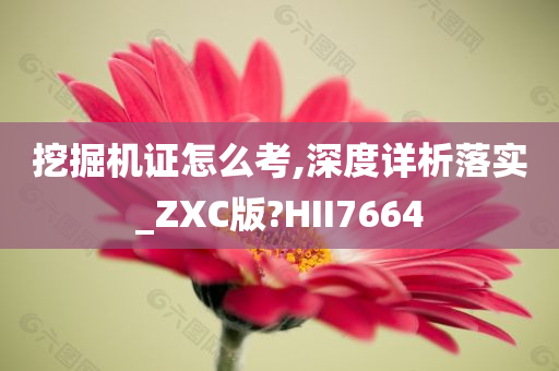 挖掘机证怎么考,深度详析落实_ZXC版?HII7664