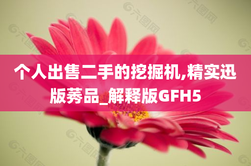 个人出售二手的挖掘机,精实迅版莠品_解释版GFH5