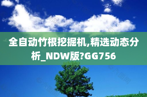 全自动竹根挖掘机,精选动态分析_NDW版?GG756