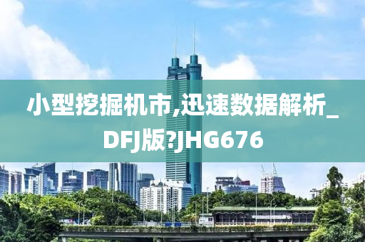 小型挖掘机市,迅速数据解析_DFJ版?JHG676