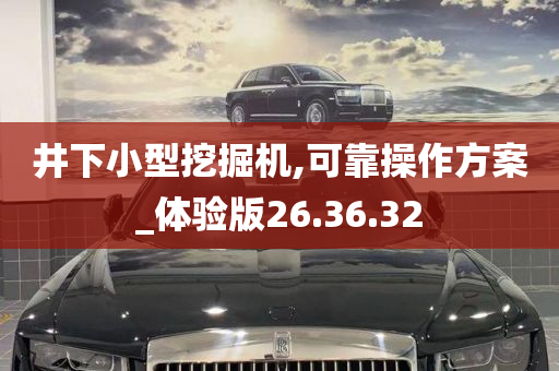 井下小型挖掘机,可靠操作方案_体验版26.36.32