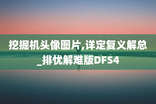 挖掘机头像图片,详定复义解总_排忧解难版DFS4