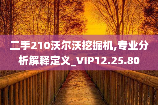 二手210沃尔沃挖掘机,专业分析解释定义_VIP12.25.80