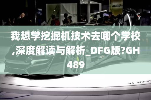 我想学挖掘机技术去哪个学校,深度解读与解析_DFG版?GH489