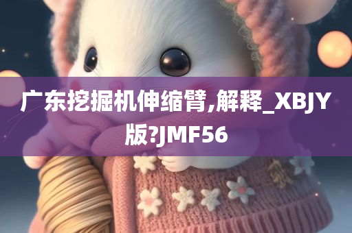 广东挖掘机伸缩臂,解释_XBJY版?JMF56