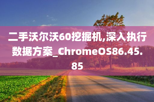 二手沃尔沃60挖掘机,深入执行数据方案_ChromeOS86.45.85