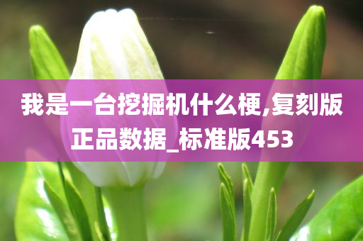 我是一台挖掘机什么梗,复刻版正品数据_标准版453