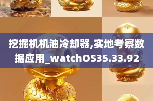 挖掘机机油冷却器,实地考察数据应用_watchOS35.33.92