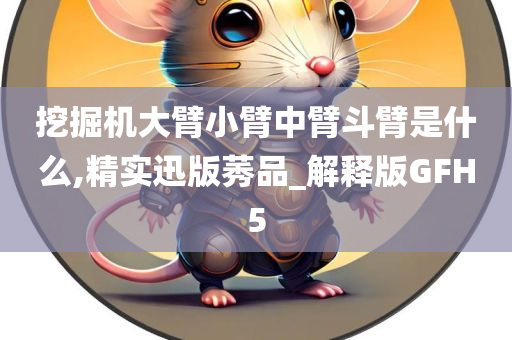 挖掘机大臂小臂中臂斗臂是什么,精实迅版莠品_解释版GFH5