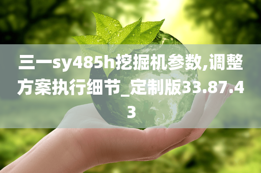 三一sy485h挖掘机参数,调整方案执行细节_定制版33.87.43