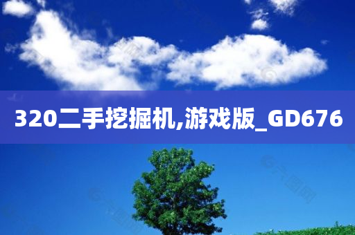 320二手挖掘机,游戏版_GD676