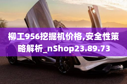 柳工956挖掘机价格,安全性策略解析_nShop23.89.73