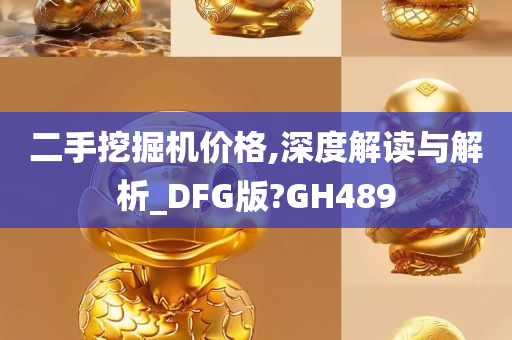 二手挖掘机价格,深度解读与解析_DFG版?GH489