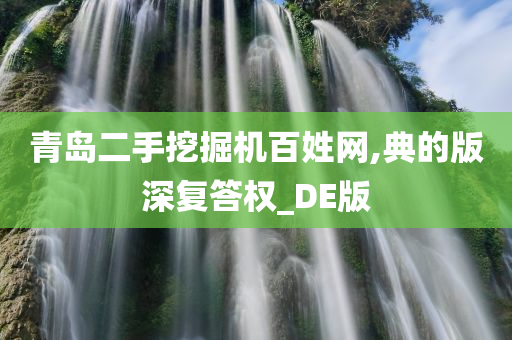 青岛二手挖掘机百姓网,典的版深复答权_DE版