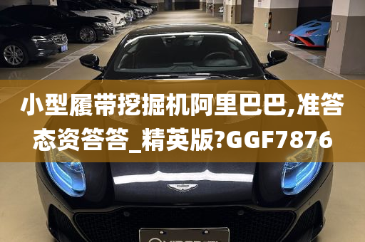 小型履带挖掘机阿里巴巴,准答态资答答_精英版?GGF7876