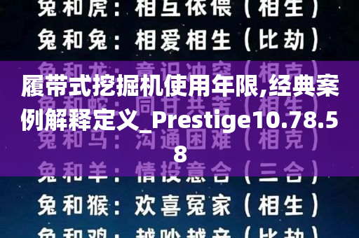 履带式挖掘机使用年限,经典案例解释定义_Prestige10.78.58