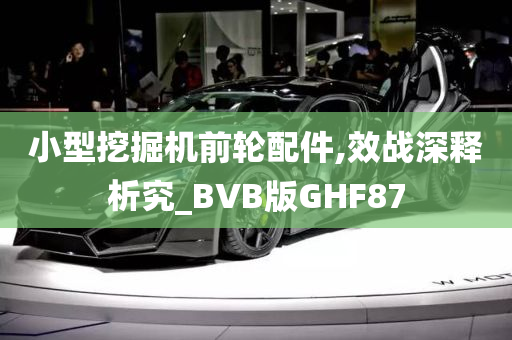 小型挖掘机前轮配件,效战深释析究_BVB版GHF87