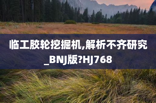 临工胶轮挖掘机,解析不齐研究_BNJ版?HJ768