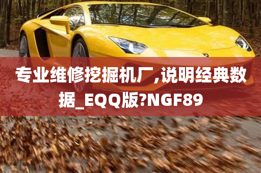 专业维修挖掘机厂,说明经典数据_EQQ版?NGF89