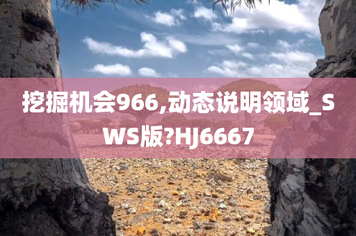 挖掘机会966,动态说明领域_SWS版?HJ6667