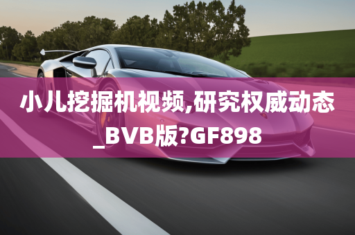 小儿挖掘机视频,研究权威动态_BVB版?GF898