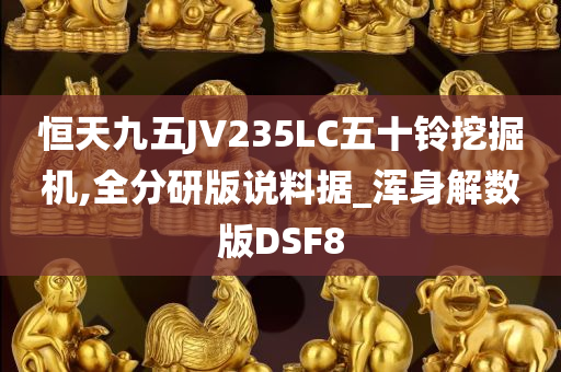 恒天九五JV235LC五十铃挖掘机,全分研版说料据_浑身解数版DSF8