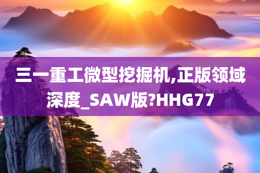 三一重工微型挖掘机,正版领域深度_SAW版?HHG77