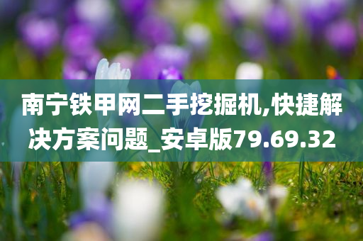 南宁铁甲网二手挖掘机,快捷解决方案问题_安卓版79.69.32