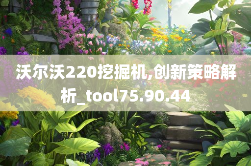 沃尔沃220挖掘机,创新策略解析_tool75.90.44