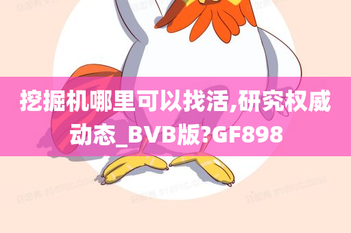 挖掘机哪里可以找活,研究权威动态_BVB版?GF898