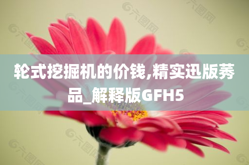 轮式挖掘机的价钱,精实迅版莠品_解释版GFH5