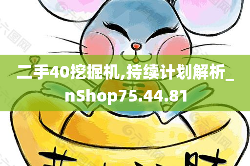 二手40挖掘机,持续计划解析_nShop75.44.81