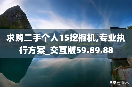 求购二手个人15挖掘机,专业执行方案_交互版59.89.88