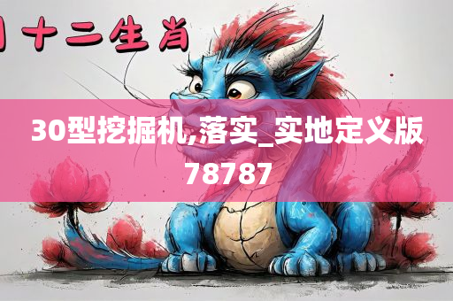 30型挖掘机,落实_实地定义版78787