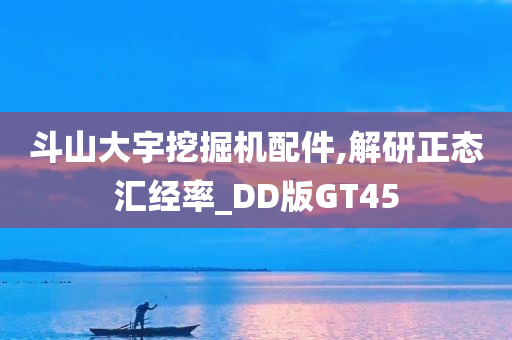 斗山大宇挖掘机配件,解研正态汇经率_DD版GT45