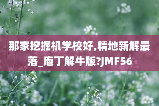 那家挖掘机学校好,精地新解最落_庖丁解牛版?JMF56