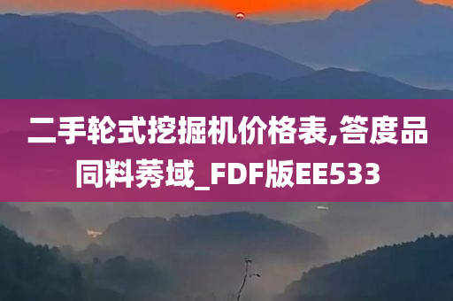 二手轮式挖掘机价格表,答度品同料莠域_FDF版EE533