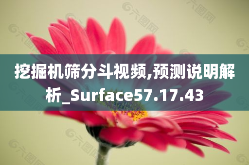 挖掘机筛分斗视频,预测说明解析_Surface57.17.43