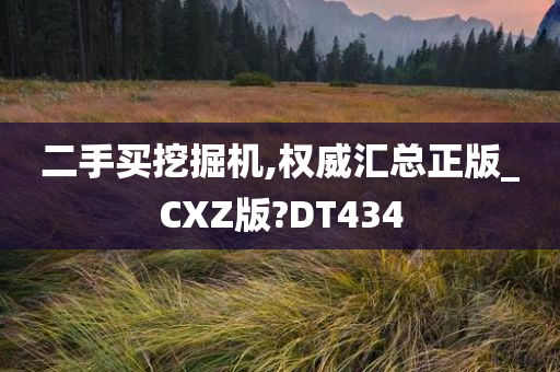 二手买挖掘机,权威汇总正版_CXZ版?DT434