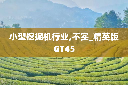 小型挖掘机行业,不实_精英版GT45