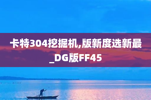 卡特304挖掘机,版新度选新最_DG版FF45