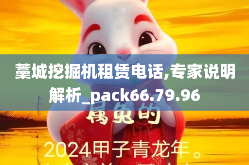 藁城挖掘机租赁电话,专家说明解析_pack66.79.96