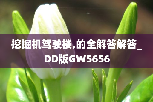 挖掘机驾驶楼,的全解答解答_DD版GW5656