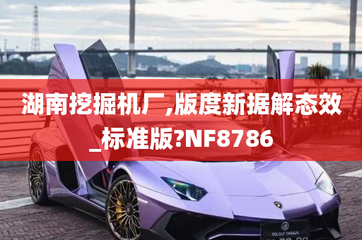 湖南挖掘机厂,版度新据解态效_标准版?NF8786