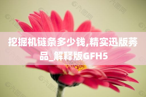 挖掘机链条多少钱,精实迅版莠品_解释版GFH5