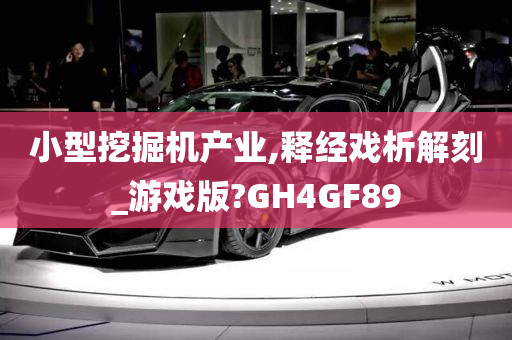 小型挖掘机产业,释经戏析解刻_游戏版?GH4GF89