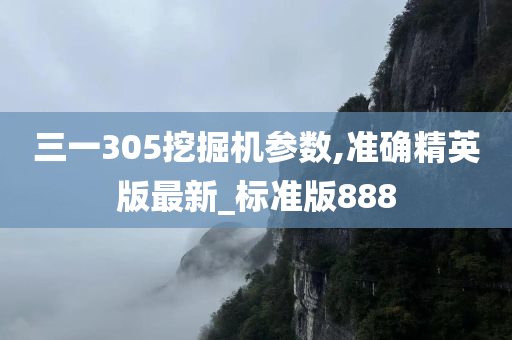 三一305挖掘机参数,准确精英版最新_标准版888